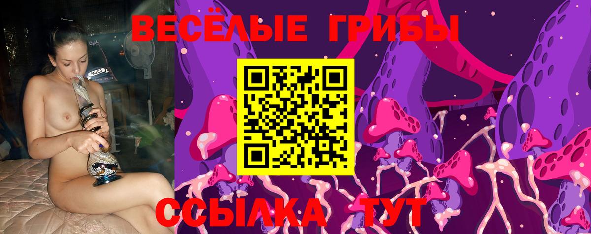 Галлюциногенные грибы Psilocybe  Вход с VPN  Галлюциногенные грибы Magic Shrooms  Благовещенск 